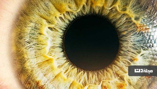 دانستنی های جالب در خصوص چشم