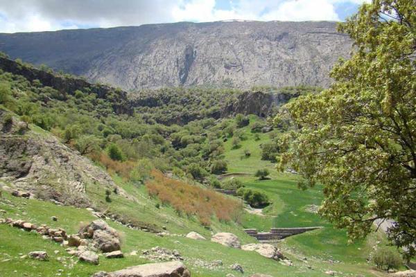 برگزاری اولین تور ایلام گردی فعالان گردشگری کشور