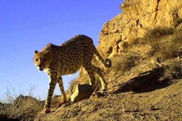 8 نکته جالب درباره پارک ملی خارتوران 8 نکته جالب درباره پارک ملی خارتوران